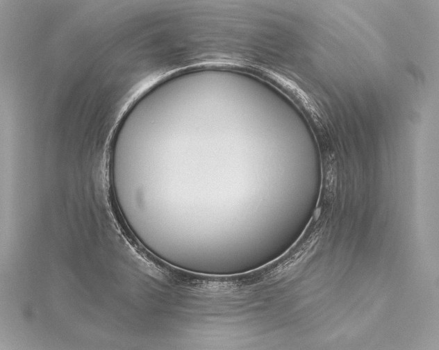 X0000115551375200911201752