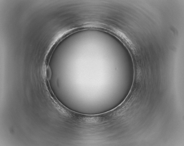 X0000115551376200911201751