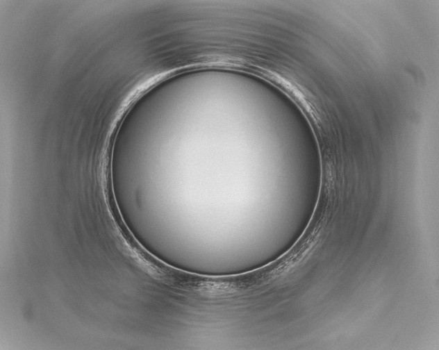 X0000115551379200911201751