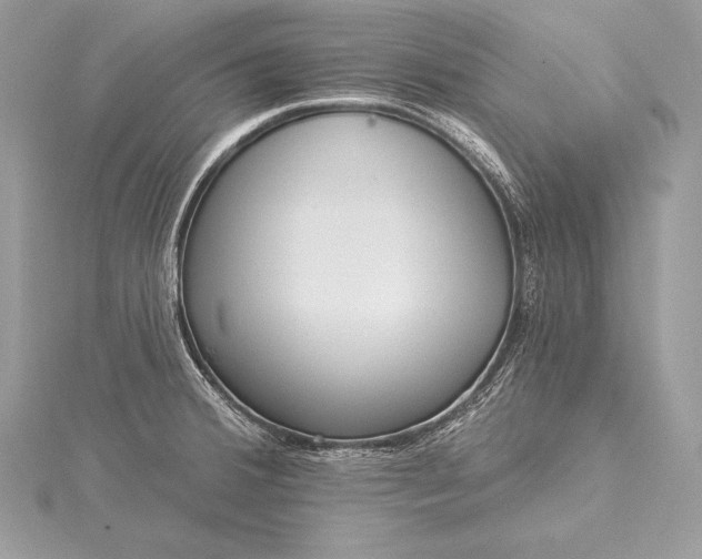 X0000115551380200911201751