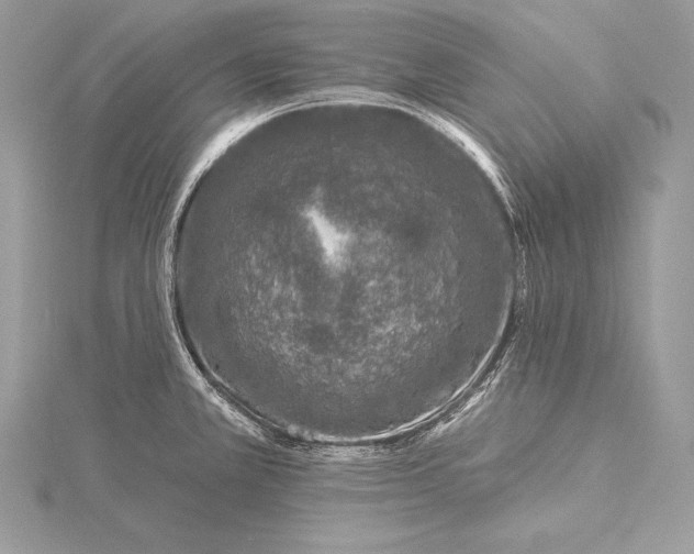 X0000115551381200911201751