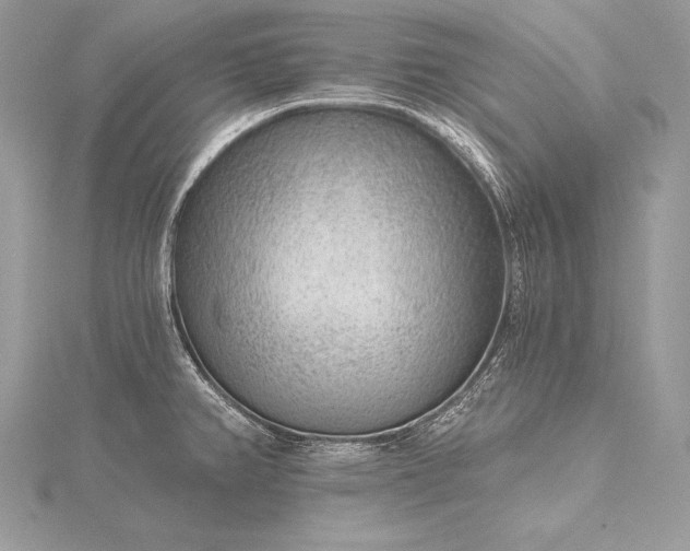 X0000115551382200911201751