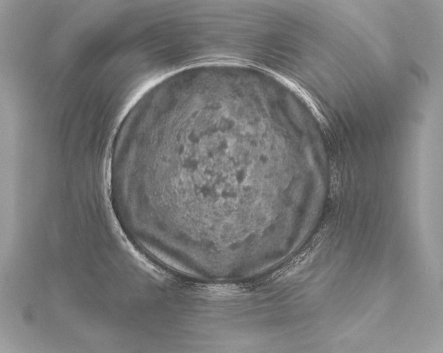 X0000115551383200911201751