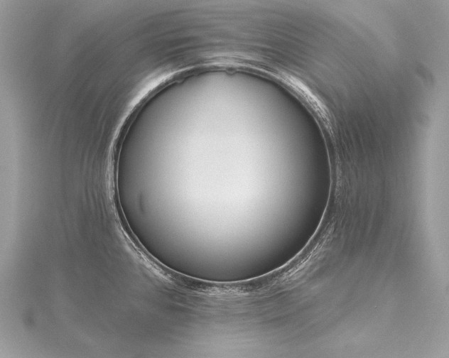 X0000115551384200911201751