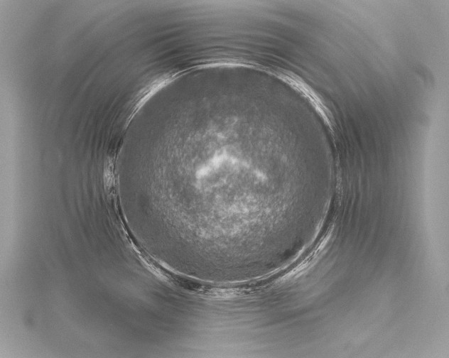 X0000115551385200911201751