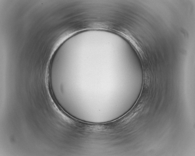 X0000115551387200911201751