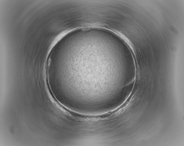 X0000115551389200911201751