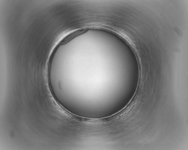 X0000115551392200911201751