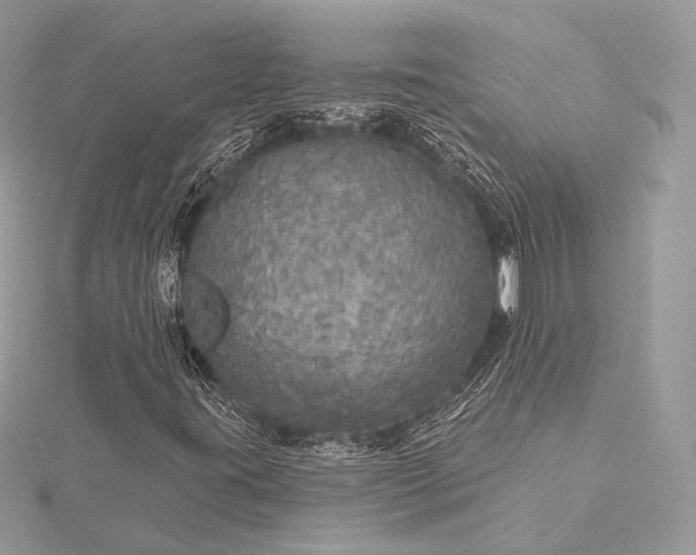 X0000115551395200911201751