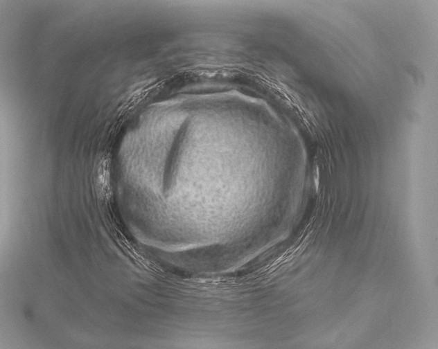 X0000115551396200911201751