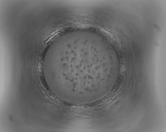 X0000115551397200911201751