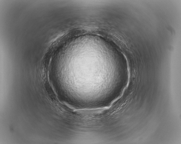 X0000115551398200911201751