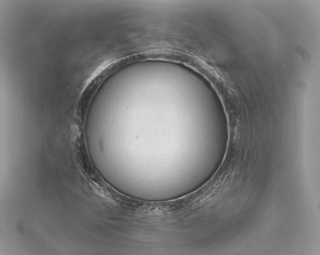 X0000115551400200911201751