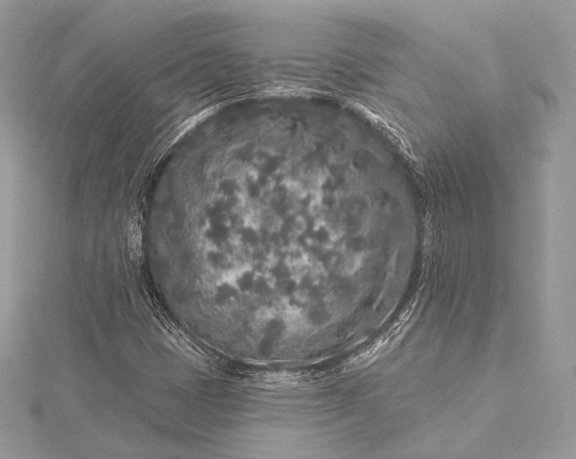 X0000115551401200911201751