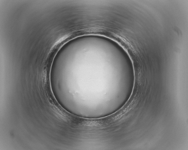 X0000115551402200911201751