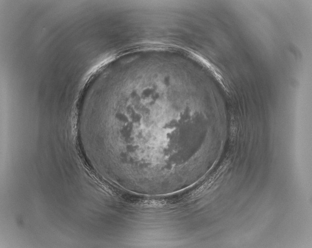 X0000115551411200911201751