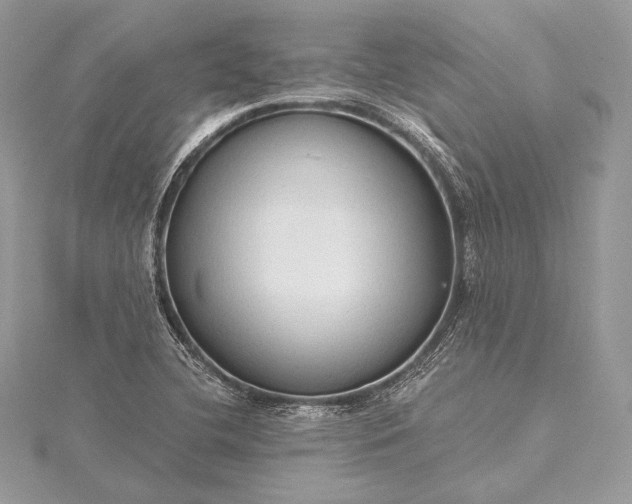 X0000115551412200911201751