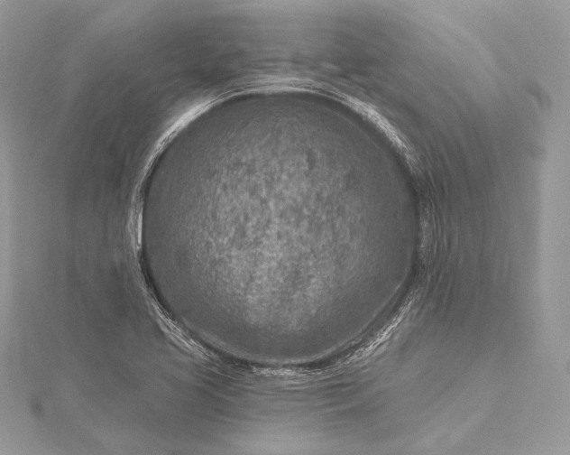 X0000115551413200911201751