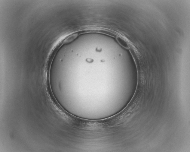 X0000115551416200911201751