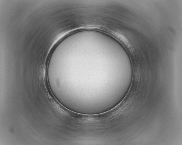 X0000115551420200911201751