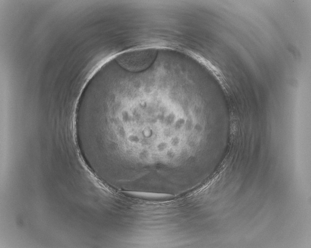 X0000115551423200911201751