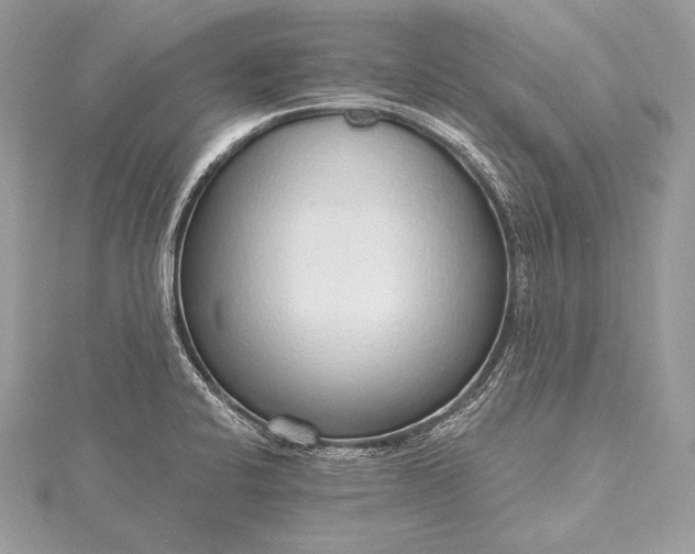 X0000115551424200911201751