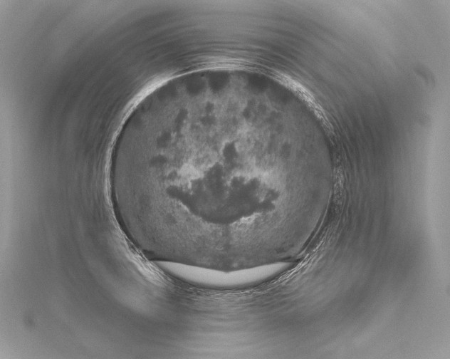 X0000115551427200911201751