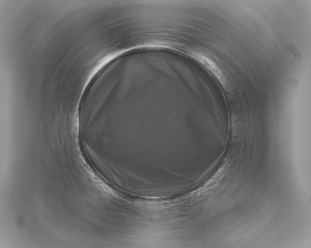 X0000115551428200911201751