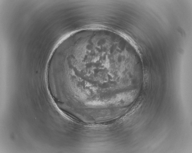 X0000115551429200911201751