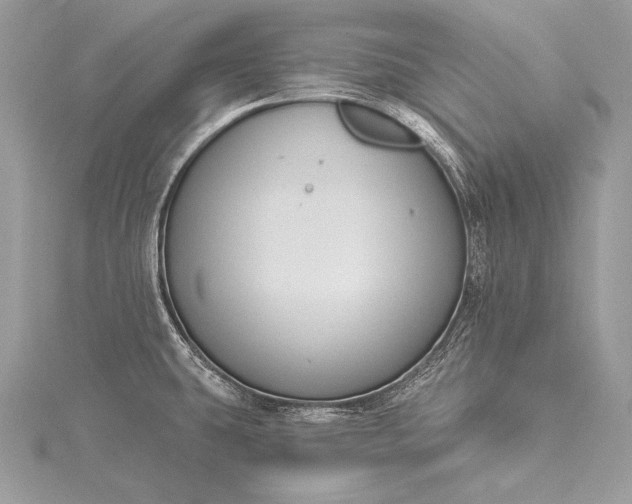 X0000115551431200911201751