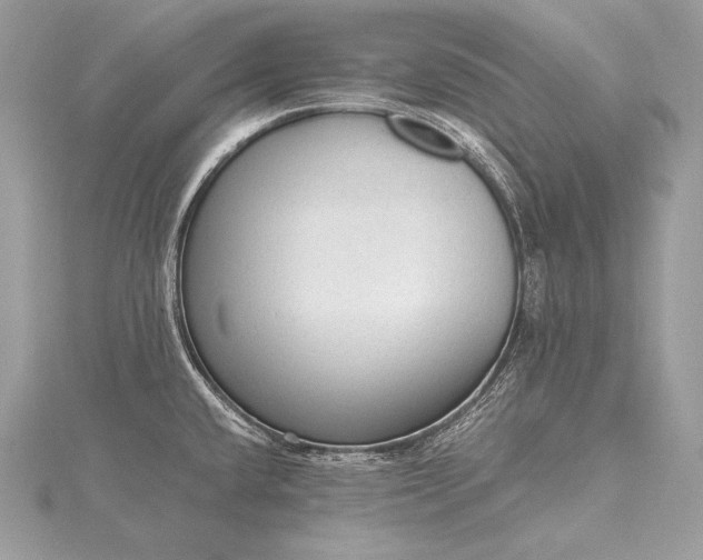 X0000115551432200911201751