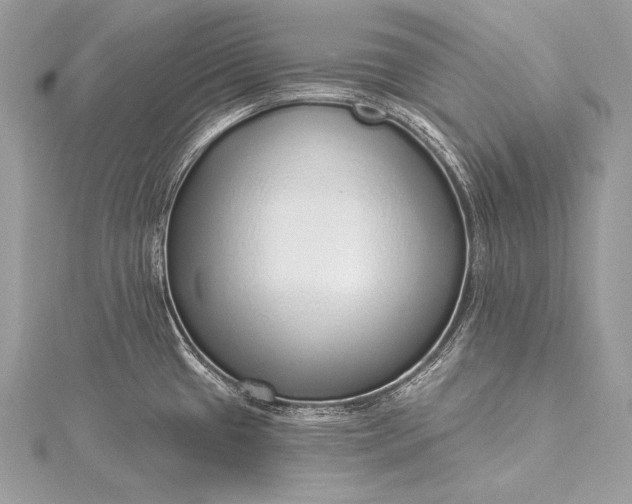 X0000115551433200911201751