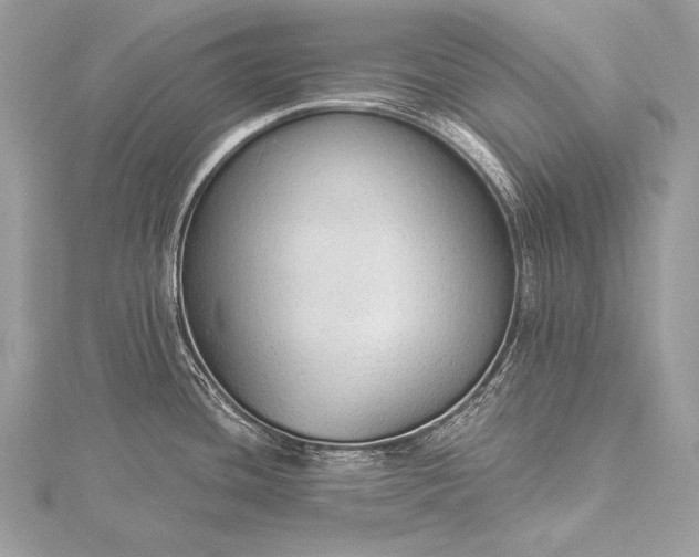 X0000115551436200911201751