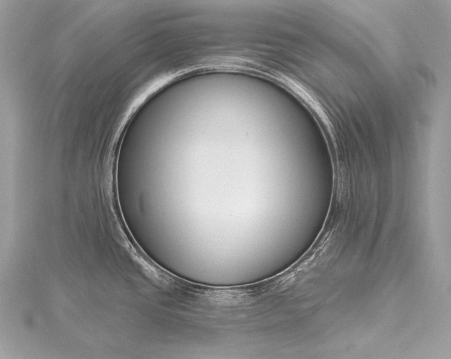 X0000115551437200911201751