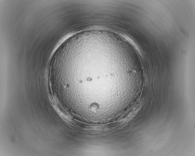 X0000115551438200911201751