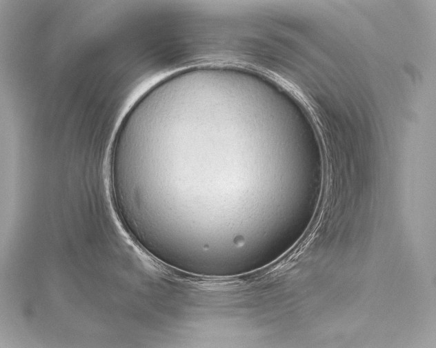 X0000115551440200911201751