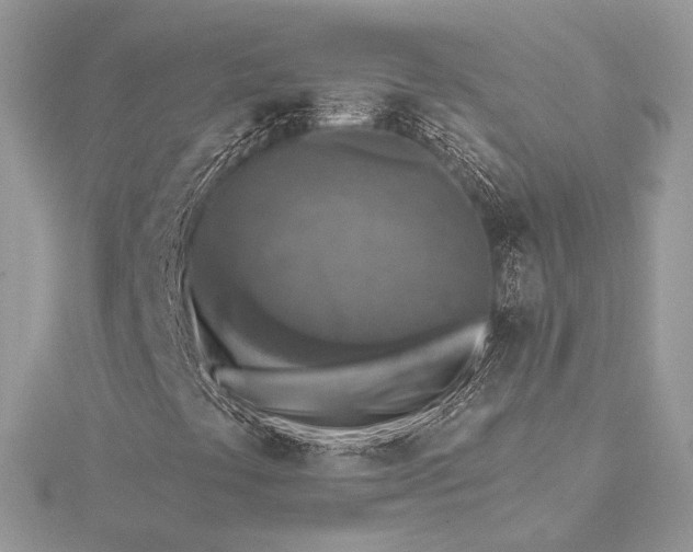 X0000115551441200911201751