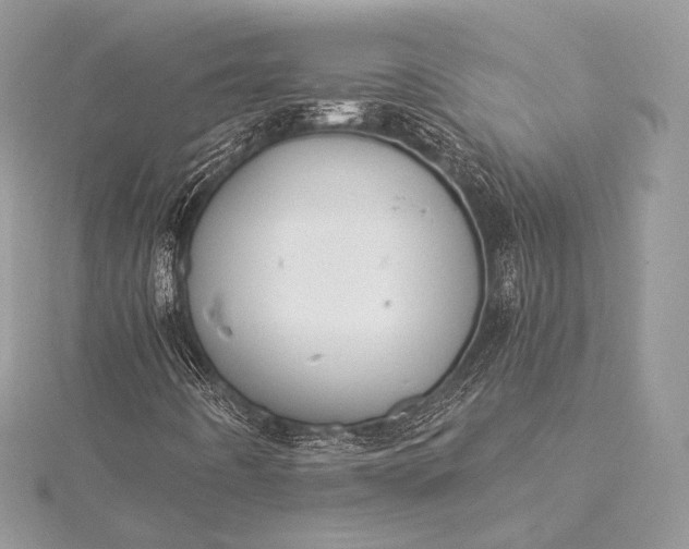 X0000115551442200911201751