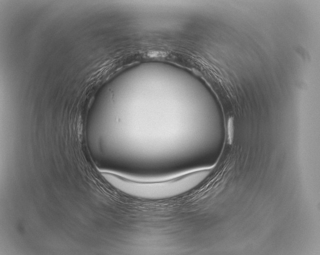 X0000115551443200911201751