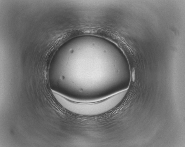 X0000115551444200911201751