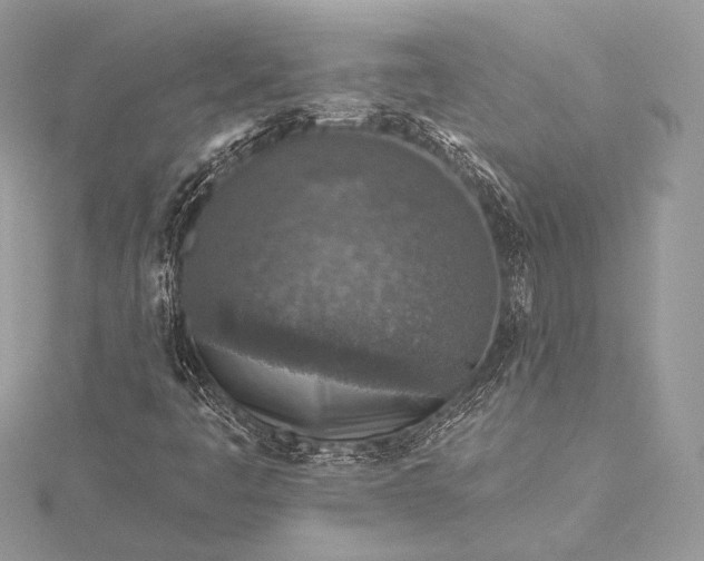 X0000115551445200911201751