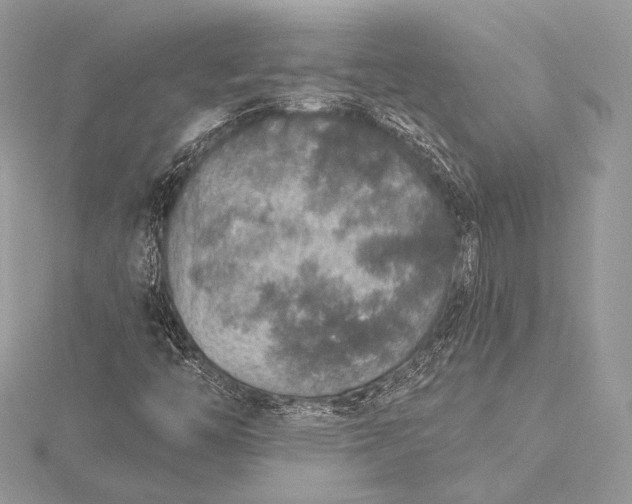 X0000115551446200911201751