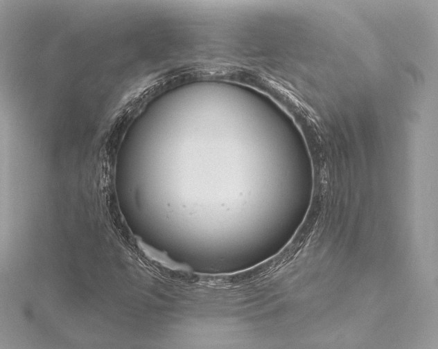 X0000115551447200911201750