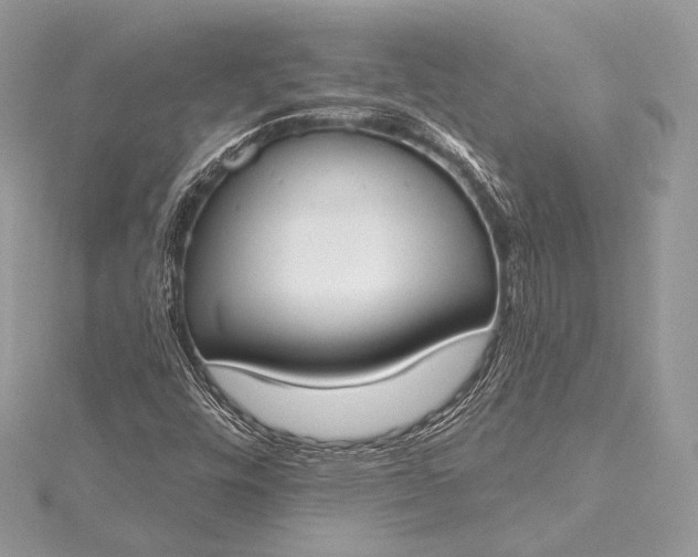 X0000115551448200911201750