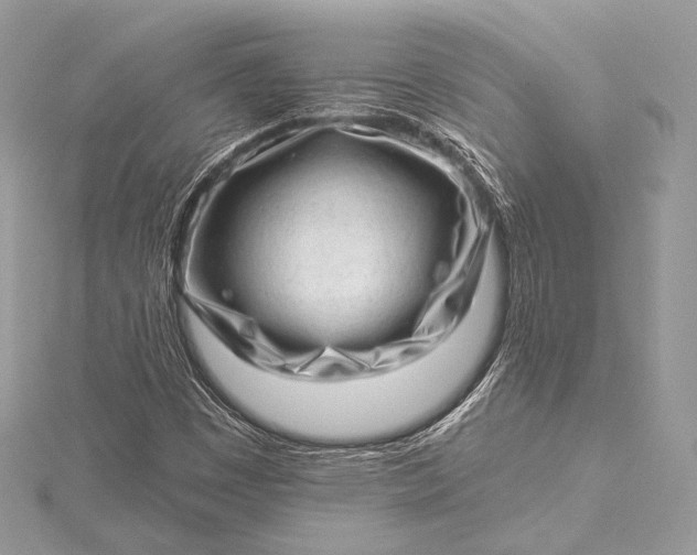 X0000115551449200911201750