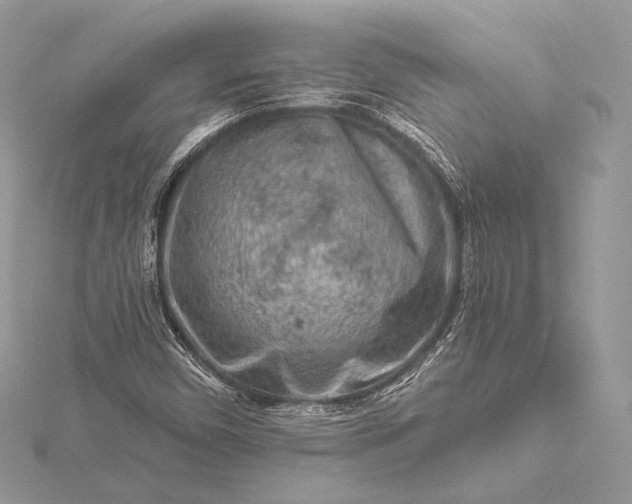 X0000115551450200911201750