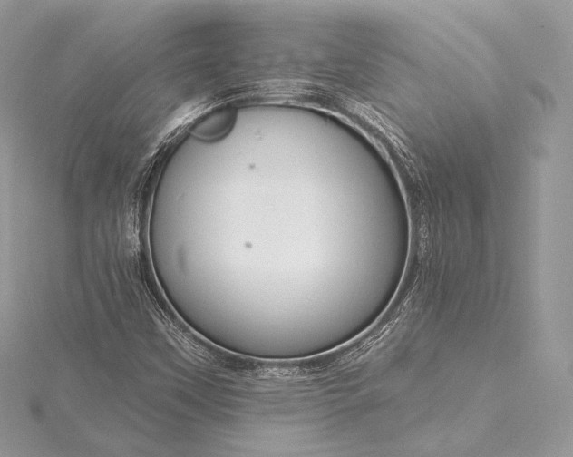 X0000115551451200911201750