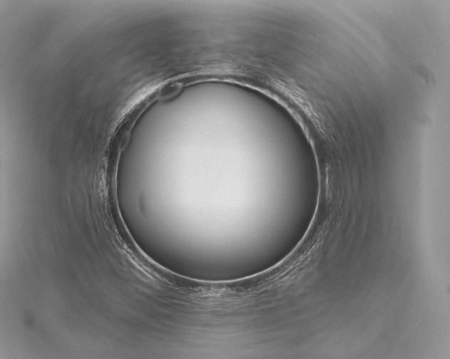 X0000115551452200911201750