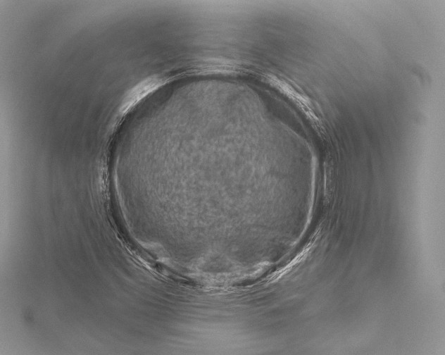 X0000115551453200911201750