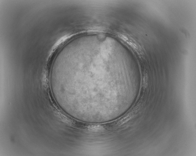 X0000115551454200911201750